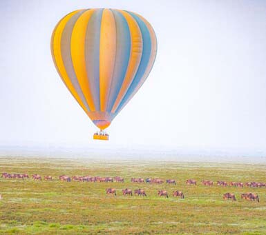 Safari Experiences during a Luxury Safari Tanzania